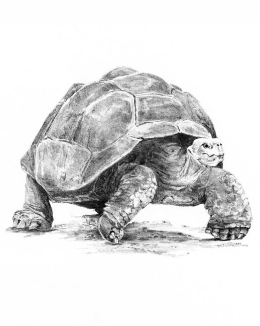 R&L Set creativo per schizzi – 33 pz