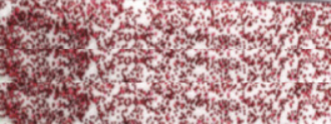 Akril festék glitteres Crafter's Choice Royal Langnickel - 59 ml - AMSTERDAM Deco Glass Colours - válasszon árnyalatot: 205 - Glitrová Fialovo-červená