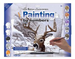 Pittura per numeri formato A3 - Neve danzante