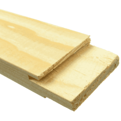 Barsch central (4,5 x 2 cm)