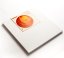 PHOENIX tavla da lain per pitturar GESSO - rom 4 cm