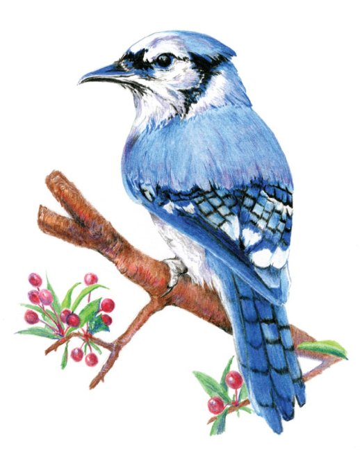 R&L Kreativni set za crtanje – 31 kom