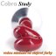 Colori a olio Cobra Study 40 ml