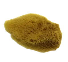 Prírodná špongia 2-2-1/2