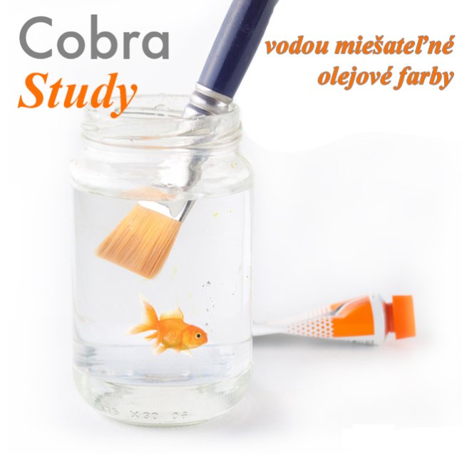 Olejové farby Cobra Study 200  ml