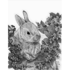 Royal & Langnickel set za skiciranje s motivom - Zec