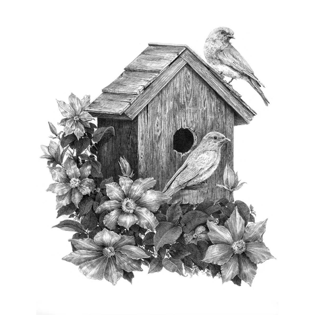 Royal & Langnickel vázlatkészlet motívummal - Madárház