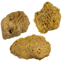 Prírodné morské špongie - vlnové špongie - sada - 3ks