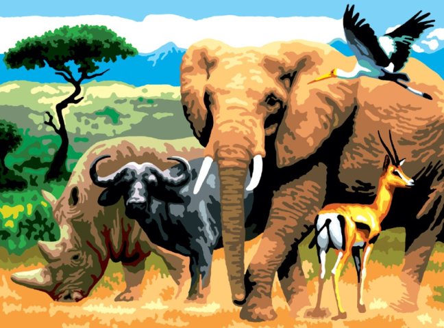 Pittura con numeri formato A3 - Animali africani