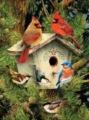 Pittura per numeri formato A4 - Vicini locali