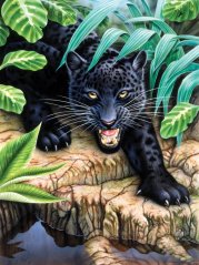 Maľovanie podľa čísiel formát A4 - Čierny leopard