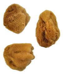 Royal & Langnickel hodvábne špongie sada 3 ks