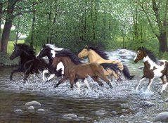 R&L Pittura con i numeri – Free Spirits