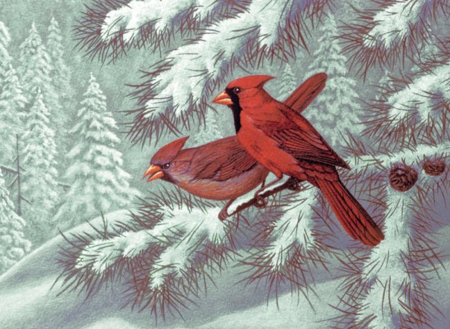 R&L Pittura con i numeri – Cardinals