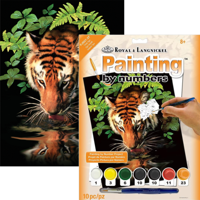 Számozott kifestő A4 formátumban - Szomjas tigris