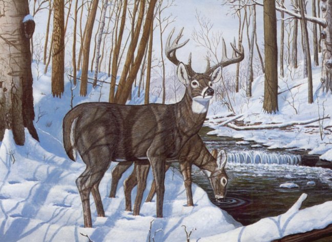 R&L Pittura con i numeri – Winter Bliss