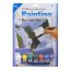 Számozott kifestő A4 formátumban -  Sas és pisztráng