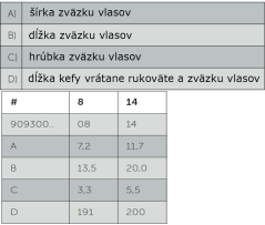 Van Gogh ecsetek olaj/akril/gouache 300 - VÁLASSZA KI A MÉRETET