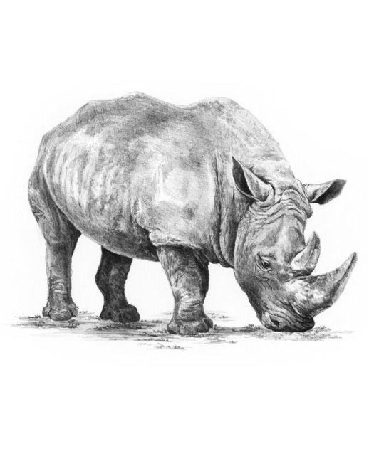 R&L Set creativo per schizzi – 33 pz