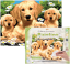 R&L Pittura per numeri – Golden Retriever Puppies