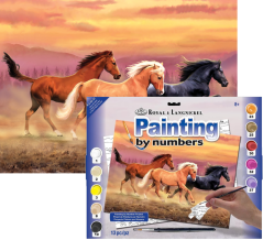 Pittura per numeri formato A3 - Via col vento