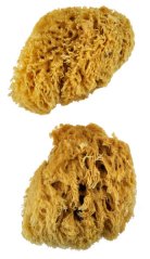 Grandi spugne naturali di lana - set da 2 pezzi