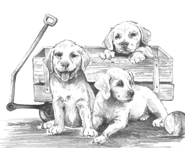 R&L set creativo per schizzi – 33 pz