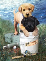 Malování podle čísel formát A4 - Kámoši