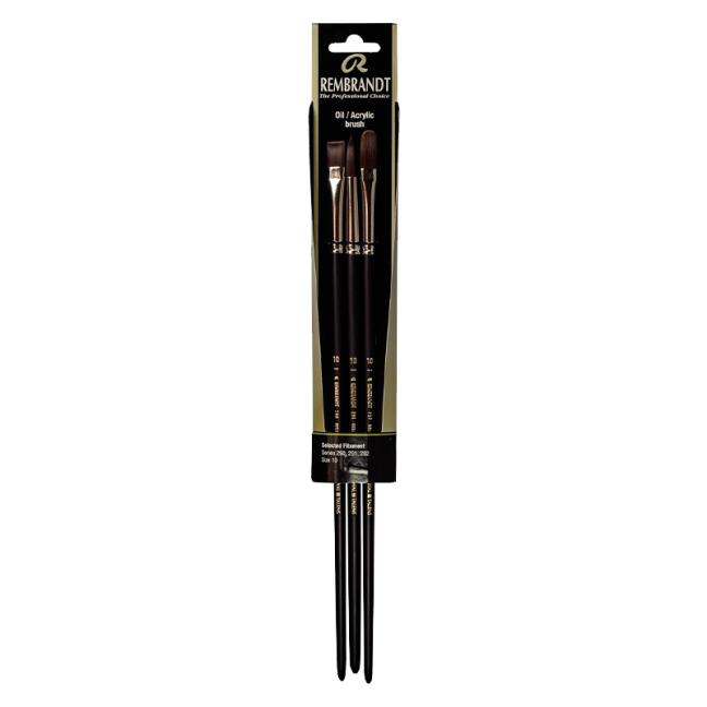 Rembrandt Set di pennelli per olio e acrilico serie 290-291-292 n. 10 - 3 pezzi