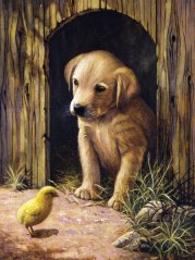 Pittura per numeri formato A4 - Cucciolo di labrador