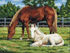 cR&L Malování podle čísel na plátno – Horses in Field