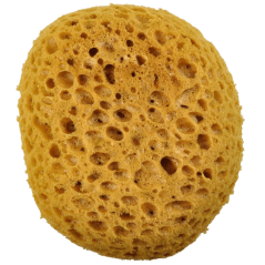Syntetická špongia - veľká 1ks