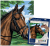 R&L Pictură după numere pe pânză – Thoroughbred