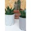Křídové barvy ArtCreation se staromódním efektem - 250ml